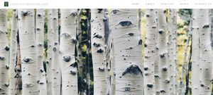 Cedar and Birch Wellness