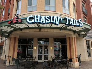 Chasin' Tails: Seafood that Celebrates!