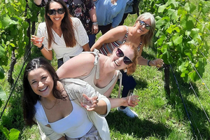 From Wellington: Martinborough Winery Tour
