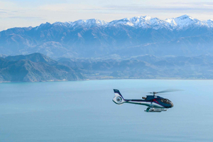 Kaikoura: avistamiento de ballenas en helicóptero y aterrizaje en la montaña