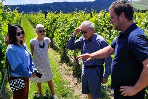 Martinborough Wine and Food Tour with Lunch from Wellington