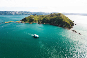 Wellington: Commented Harbor Explorer tour