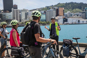 Wellington: Guided Sightseeing Tour by Electric Bike