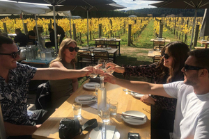 Wellington: Martinborough Private Winery Tour with Lunch