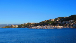Kauniit ajoreitit Wellingtonissa