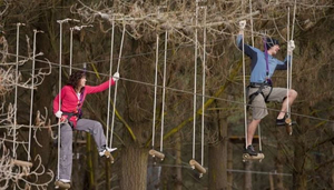 Adrenalin Forest