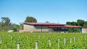 Gladstone Vineyard