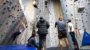 Centre d'escalade en salle Hangdog
