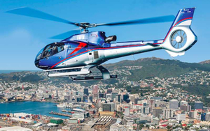 Wellington City Scenic Helicopter Flight