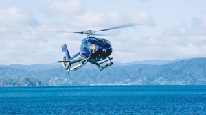 Wellington Harbour Heli-Flight