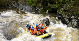 Best Wellington Adrenaline Activities
