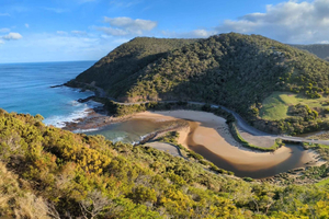 2 Day Great Ocean Road Small Group Tour