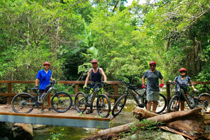 Airlie Beach: Half Day Mountain Bike Tour in Rainforest