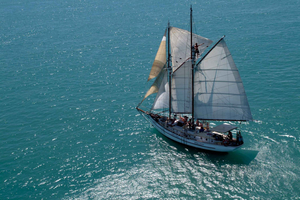 Airlie Beach: Providence Whitehaven Day Sail con snorkeling