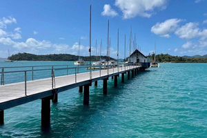 Airlie Beach: Whitsundays Mainland Eco Tour & Brewery Visit