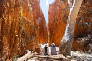 Alice Springs: West MacDonnell Ranges Day Tour with Lunch