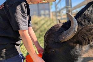 Atherton Tablelands: Behind the Scenes Farm Tour