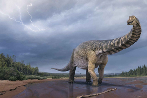 Wycieczka po australijskim muzeum olbrzymich dinozaurów