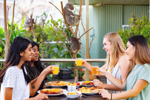 Zoo WILD LIFE w Darling Harbour: śniadanie z koalami