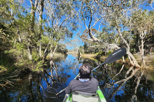 Bribie Island: 4WD Beach, Lagoon Kayak & WWII Bunker Tour