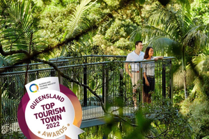 Brisbane: HOHO + Glow Worms & Skywalk Rainforest Walk