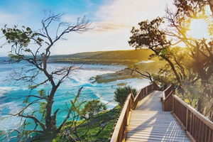 Z Brisbane na North Stradbroke Island: dzika przyroda i plaże