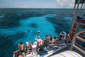 Cairns: 2-dagars rundtur på Stora barriärrevet och Fitzroy Island