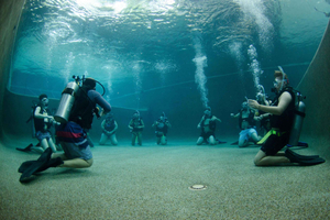 Cairns: 4-tägiger PADI Open Water Kurs