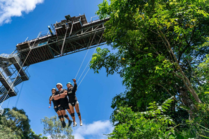 Cairns: Giant Swing through Rainforest - Solo, duo or group
