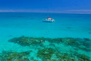 Cairns: Great Barrier Reef Small Group Snorkel Tour