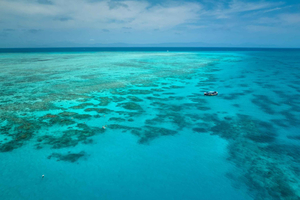 Cairns: Great Barrier Reef Snorkel and Scenic Flight