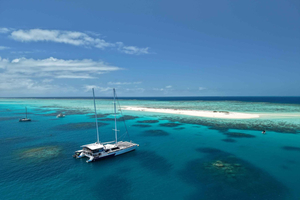 Cairns: Michaelmas Cay & Great Barrier Reef Full-Day Snorkel