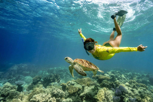Cape Tribulation Ocean Safari - Great Barrier Reef Abenteuer