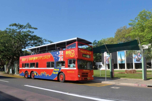 Darwin: wstęp do Crocosaurus Cove i wycieczka autobusem hop-on hop-off