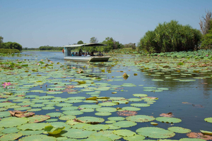 Darwin: Mary River Wetlands Wildlife Cruise with Lunch