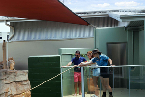 Darwin: atrakcja VIP w Crocosaurus Cove