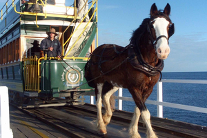 From Adelaide: Victor Harbor & Hahndorf Day Tour