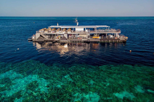 From Airlie Beach: Great Barrier Reef Pontoon Experience