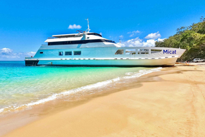 From Brisbane: Moreton Island Full-Day Trip