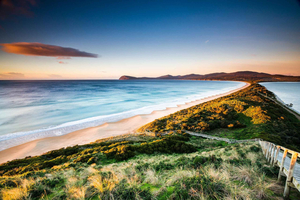 Ab Hobart: Ganztägige Bruny Island-Tour mit Guide