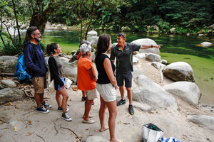 From Port Douglas: Morning Daintree Tour & Wildlife Cruise