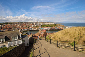 Da York: Tour delle North Moors e di Whitby