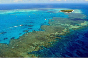 Gladstone: Scenic Flight Over Islands, Reefs, and Coastline