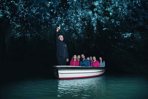 Hamilton: dagtour naar Waitomo Caves en Te Puia + picknicklunch