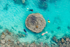 Hamilton Island: Half Day Reef & Snorkel Adventure Splash