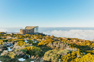 Hobart : Mt Wellington, Mt Field, Bonorong et Richmond Trip