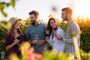 Dolina Hunter: Wino, czekolada i lunch - wycieczka all inclusive
