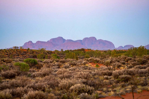 Kata Tjuta: Valley of the Winds Rundwanderung