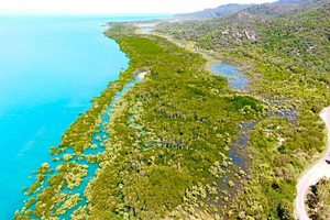 Magnetic Island: West Coast Eco Adventure Bus Tour