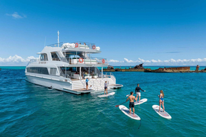 Île de Moreton : excursion tout compris avec snorkeling aux épaves de Tangalooma